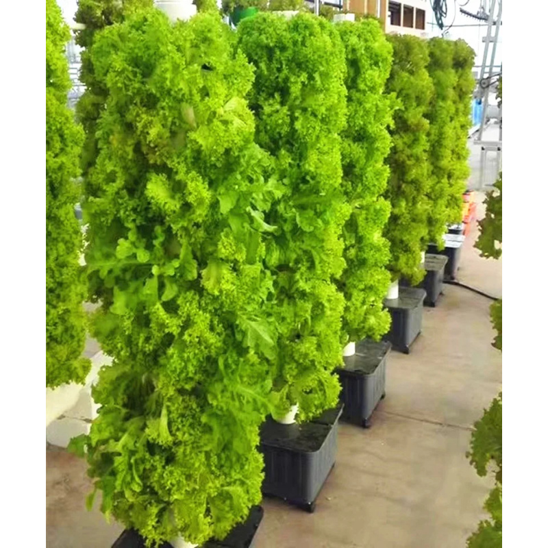 บ้านสวนแนวตั้ง Hydroponic Towe - Hydroponic Tower Planter บทวิจารณ์และราคา