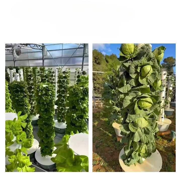 หอปลูกพืชไฮโดรโปนิกส์พร้อมไฟ L - Hydroponic Tower Planter บทวิจารณ์และราคา