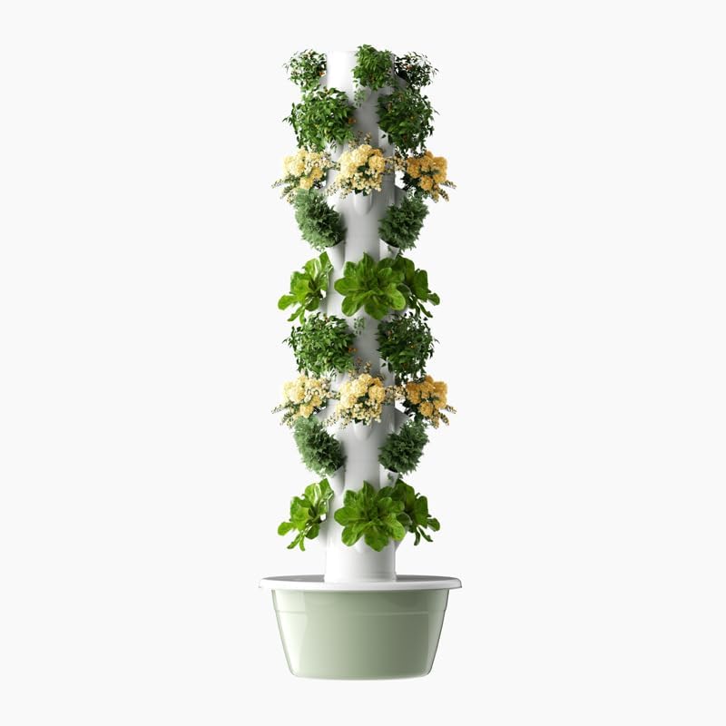 หอปลูกพืชไฮโดรโปนิกส์แนวตั้งแบ - Hydroponic Tower Planter บทวิจารณ์และราคา